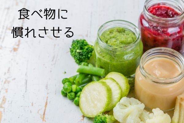 食べ物に慣れさせる